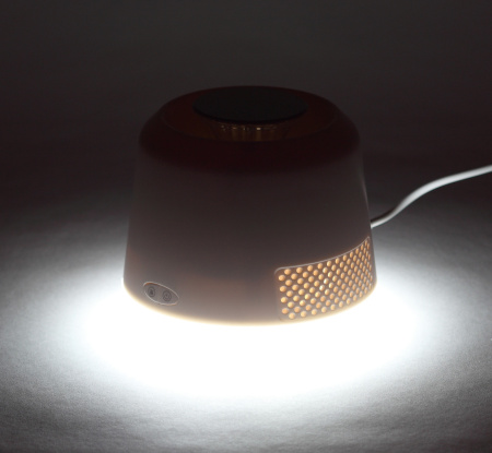 картинка Противомоскитная лампа светодиодная с выключателем зарядкой от USB и ночным режимом ERAMF-07 от магазина BTSvet