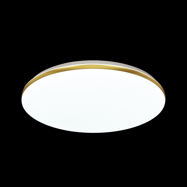 картинка Настенно-потолочный светильник светодиодный для ванной с пультом и управлением смартфоном регулировкой цветовой температуры и яркости ночным режимом Lassa 3043/EL IP43 от магазина BTSvet