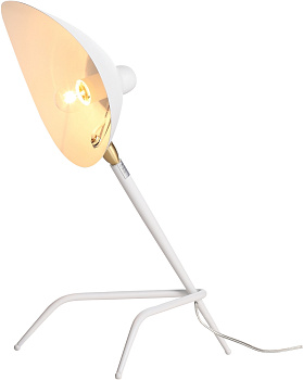 Интерьерная настольная лампа Spruzzo SL305.504.01