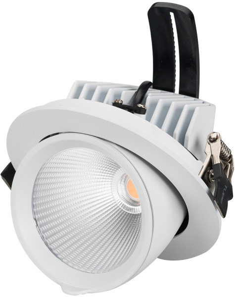 Светильник встраиваемый LED LTD-EXPLORER-R130-20W Day4000 (WH, 38 deg) (Arlight, IP20 Металл, 3 года) 024030