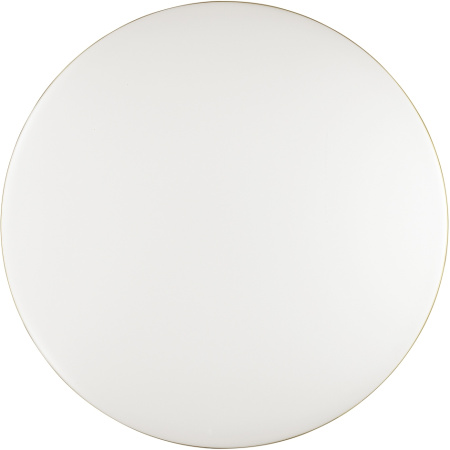 картинка Настенно-потолочный светильник светодиодный для ванной с пультом и управлением смартфоном регулировкой цветовой температуры и яркости ночным режимом Lassa 3043/DL IP43 от магазина BTSvet