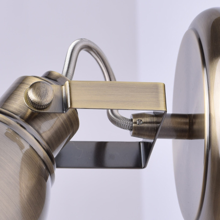 картинка Спот Ringen 547020101 от магазина BTSvet