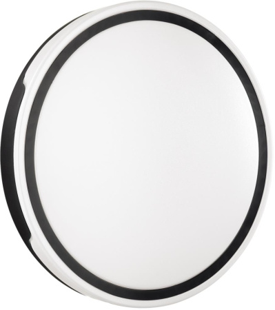 Настенно-потолочный светильник светодиодный для ванной с пультом и управлением смартфоном регулировкой цветовой температуры и яркости ночным режимом Avella 3052/EL IP43