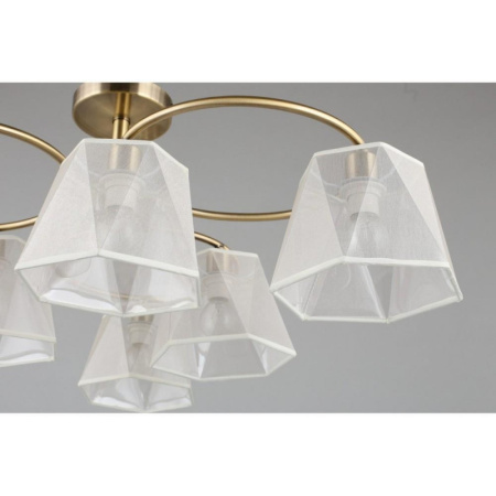 картинка Потолочная люстра OML-65017-06 от магазина BTSvet