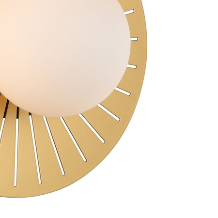 картинка Настенный светильник Sonnenblume 2356-1W от магазина BTSvet