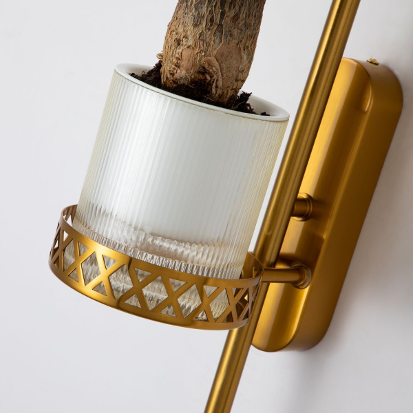 картинка Бра Greenery 4050-2W от магазина BTSvet