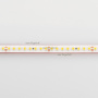 картинка Светодиодная лента герметичная RTW-PS-A160-10mm 24V Warm2700 (12 W/m, IP67, 2835, 5m) (12 Вт/м, IP67) 024545(2) от магазина BTSvet