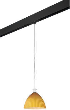 Трековый светильник однофазный 220V Lightstar Agola PRO810023