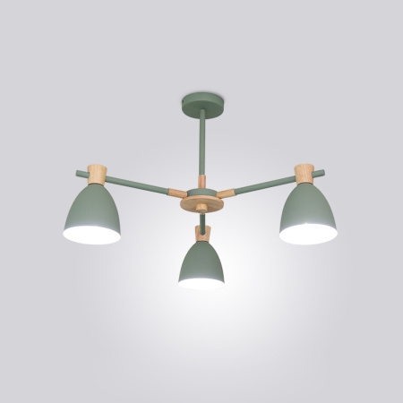 Потолочная люстра светодиодная FOLKE 3 Green