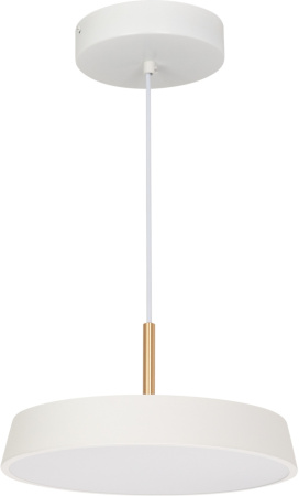 Подвесной светильник LED SP-ELEGANT-R300-17W Day4000 (WH, 120 deg, 230V) (Arlight, IP20 Металл, 3 года) 033919