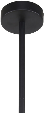 картинка Потолочная люстра на штанге Chart 3092-6P от магазина BTSvet