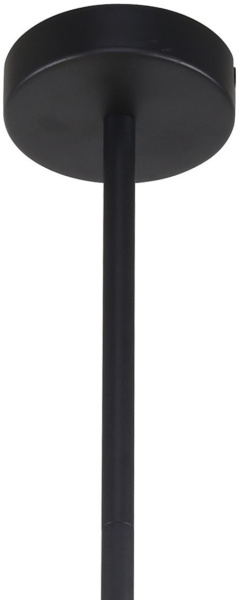 картинка Потолочная люстра на штанге Chart 3092-6P от магазина BTSvet