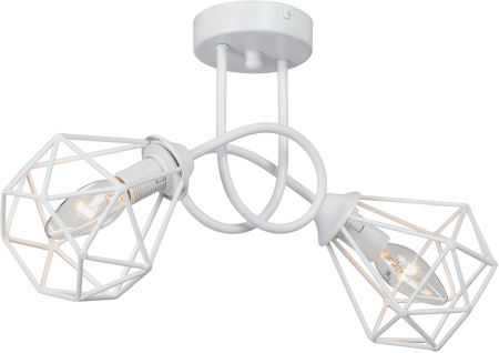 Потолочная люстра на штанге V4930-0/2PL