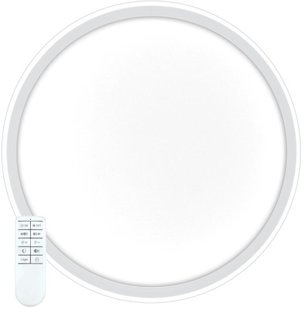 картинка Потолочный светильник светодиодный Ring 41558 от магазина BTSvet