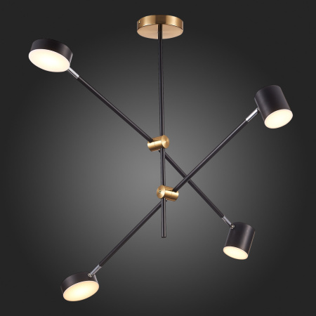 картинка Потолочная люстра светодиодная Rodrigo SL1604.432.04 от магазина BTSvet