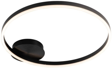 Потолочный светильник Planetary 4005/02/01C