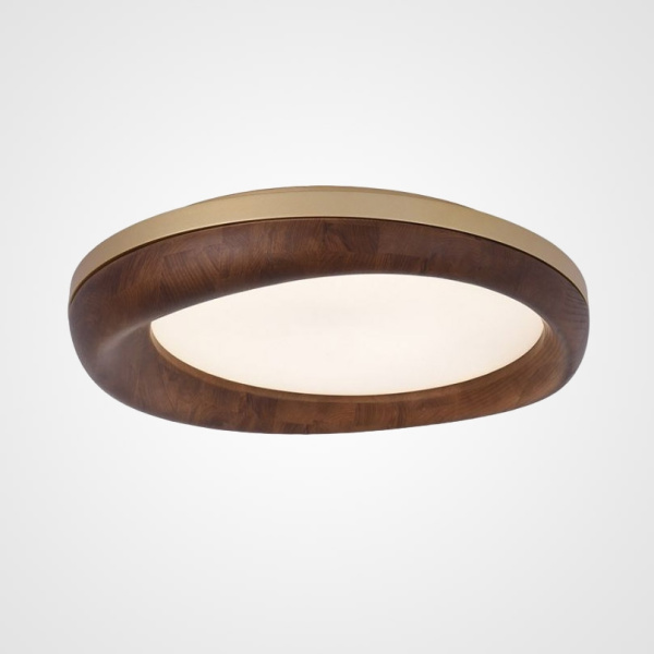 Потолочный светильник светодиодный RUNIS01