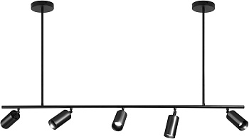 Потолочная люстра светодиодная Кайко 07615-5,19