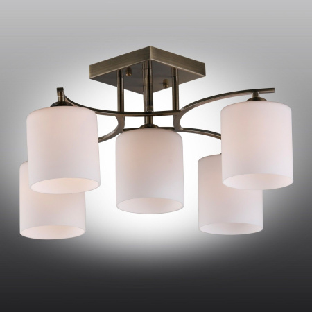 картинка Потолочная люстра Pisticci OML-55317-05 от магазина BTSvet