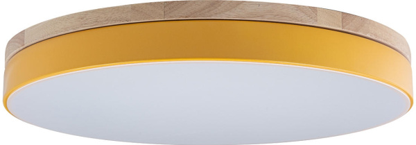 Потолочный светильник светодиодный Axel 10001/36 Yellow