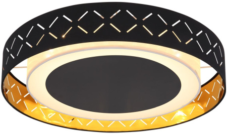 Потолочная люстра светодиодная Clarke 15229D2