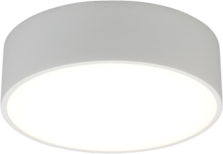 Потолочный светильник светодиодный Evon APL.0114.09.12