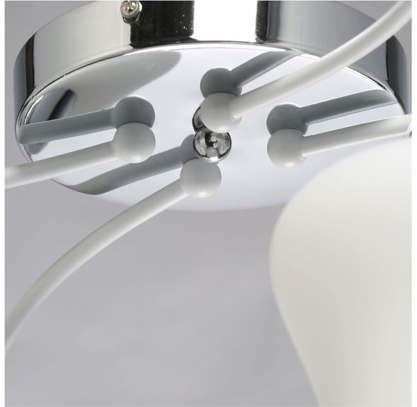 картинка Потолочная люстра Альфа 324017704 от магазина BTSvet