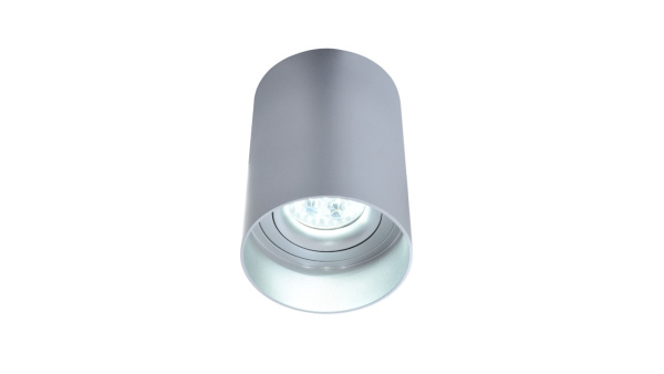 картинка Накладной светильник Flixton LDC 8053-A SS-D85*H115 SL от магазина BTSvet