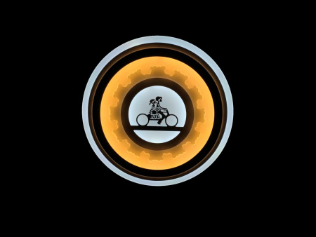 картинка Детский настенно-потолочный светодиодный светильник с пультом LED LAMPS 5600 от магазина BTSvet