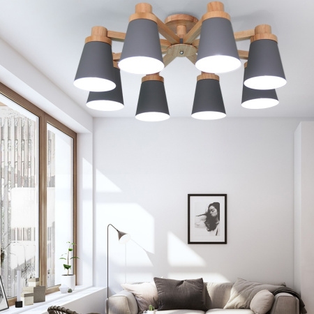 картинка Потолочная люстра на штанге prop01 от магазина BTSvet