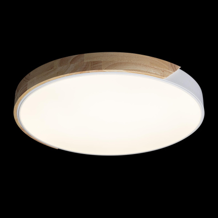 картинка Потолочный светильник светодиодный Axel 10004/36 White от магазина BTSvet