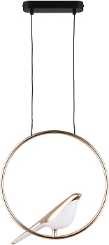 Подвесной светильник светодиодный Astor APL.822.06.10