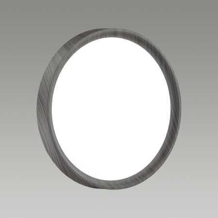 картинка Настенно-потолочный светильник Woodi 7627/DL от магазина BTSvet