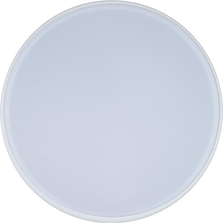 картинка Потолочный светильник светодиодный Axel 10002/12 White от магазина BTSvet