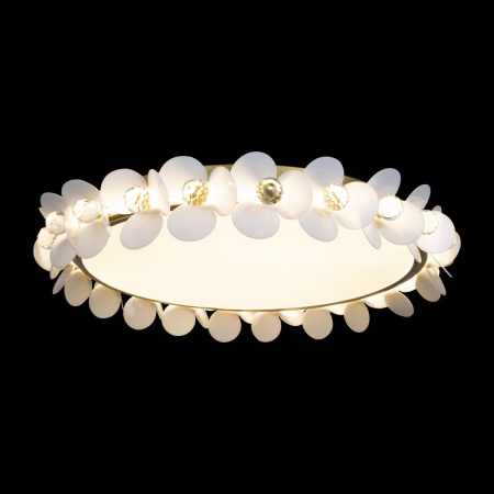 картинка Потолочный светильник Bride 10176 от магазина BTSvet