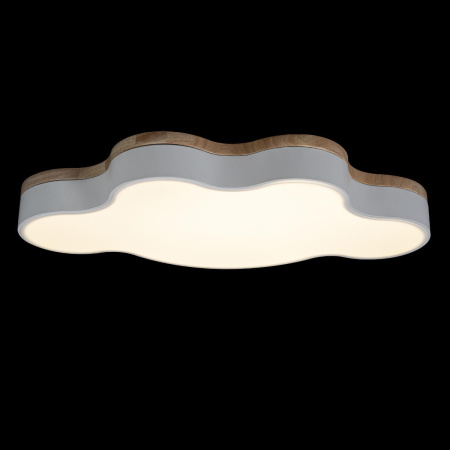 картинка Потолочный светильник светодиодный для детской Axel 10005/36 White от магазина BTSvet