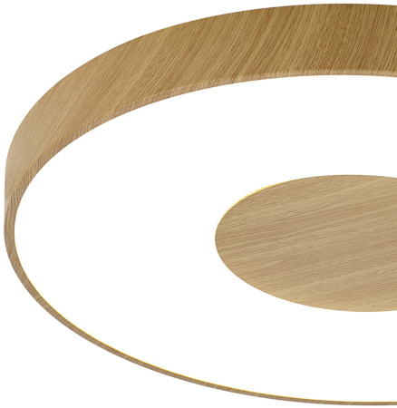 картинка Потолочный светильник светодиодный с пультом регулировкой цветовой температуры и яркости Coin 7562 от магазина BTSvet