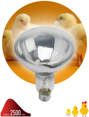 картинка Инфракрасная лампа ЗРА ИКЗ 220-250 R127 Е27 / E27 для обогрева животных и освещения 250 Вт от магазина BTSvet