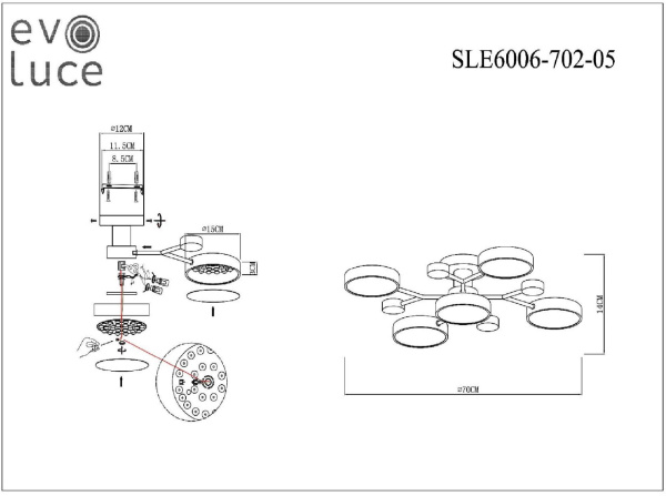 картинка Потолочная люстра на штанге Evoluce Faema SLE6006-702-05 от магазина BTSvet