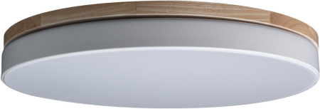 картинка Потолочный светильник светодиодный Axel 10001/36 White от магазина BTSvet