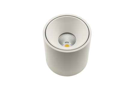 Накладной светильник светодиодный GW-8701-30-WH-WW