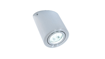 Накладной светильник Alesti  LDC 8060-D JP-D80*H130 SL