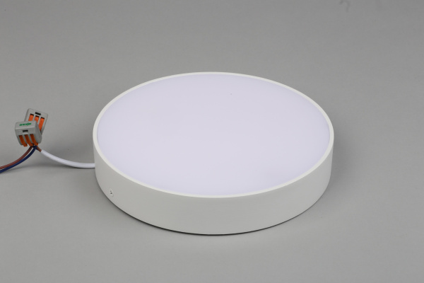 картинка Потолочный светильник светодиодный Evon APL.0114.09.24 от магазина BTSvet