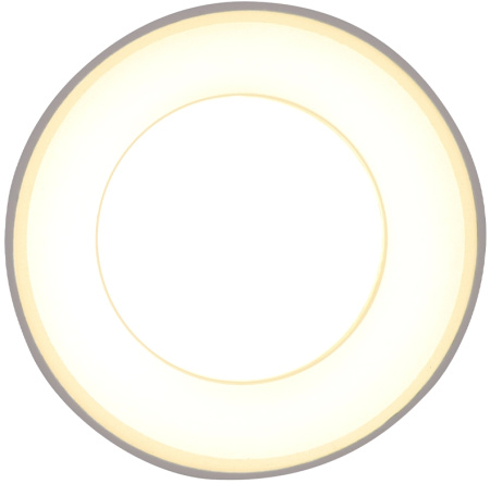 картинка Точечный накладной светодиодный светильник TECHNO SPOT TN3411 от магазина BTSvet