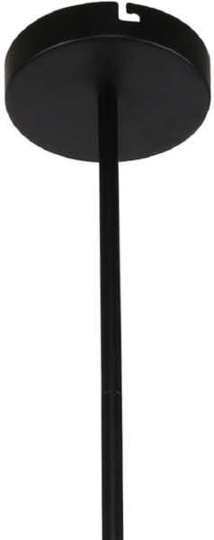 картинка Потолочная люстра на штанге Ducan 3094-8P от магазина BTSvet