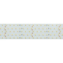 картинка Светодиодная лента RT 2-2500 24V Warm3000 5x2 (2835, 875 LED, LUX) (Arlight, 36 Вт/м, IP20) 020390 от магазина BTSvet