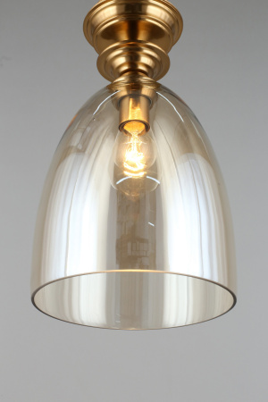 картинка Подвесной светильник Rena APL.602.06.01 от магазина BTSvet