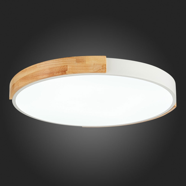 картинка Потолочный светильник светодиодный с регулировкой цветовой температуры Delia SLE201352-01 от магазина BTSvet