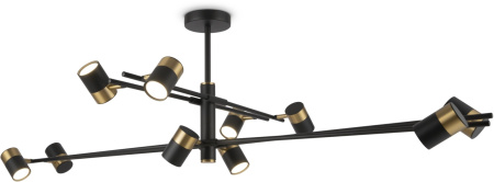 картинка Потолочная люстра на штанге Enzo FR5201PL-10B от магазина BTSvet