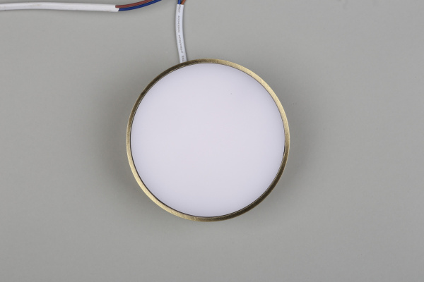 картинка Потолочный светильник светодиодный Evon APL.0114.29.12 от магазина BTSvet